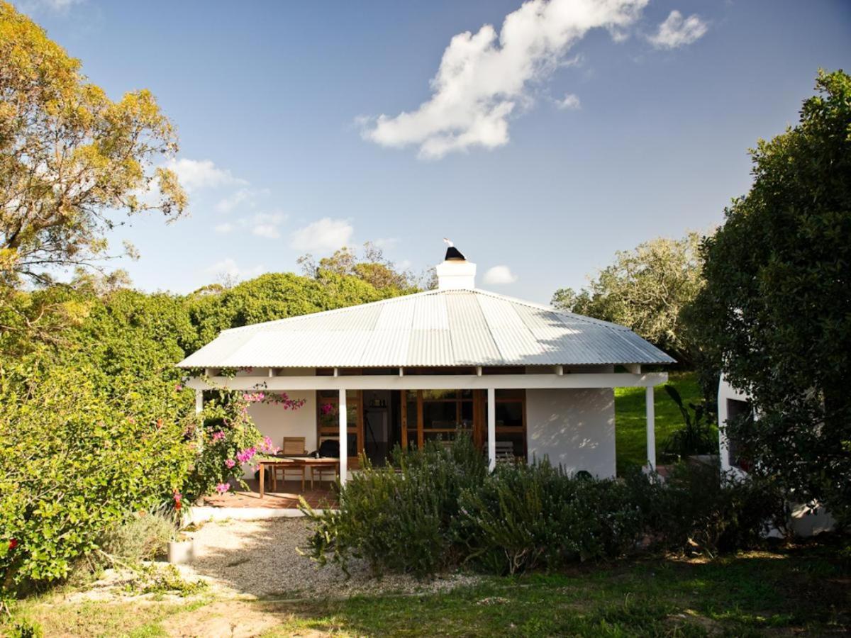 Springfontein River Lodge Stanford Luaran gambar