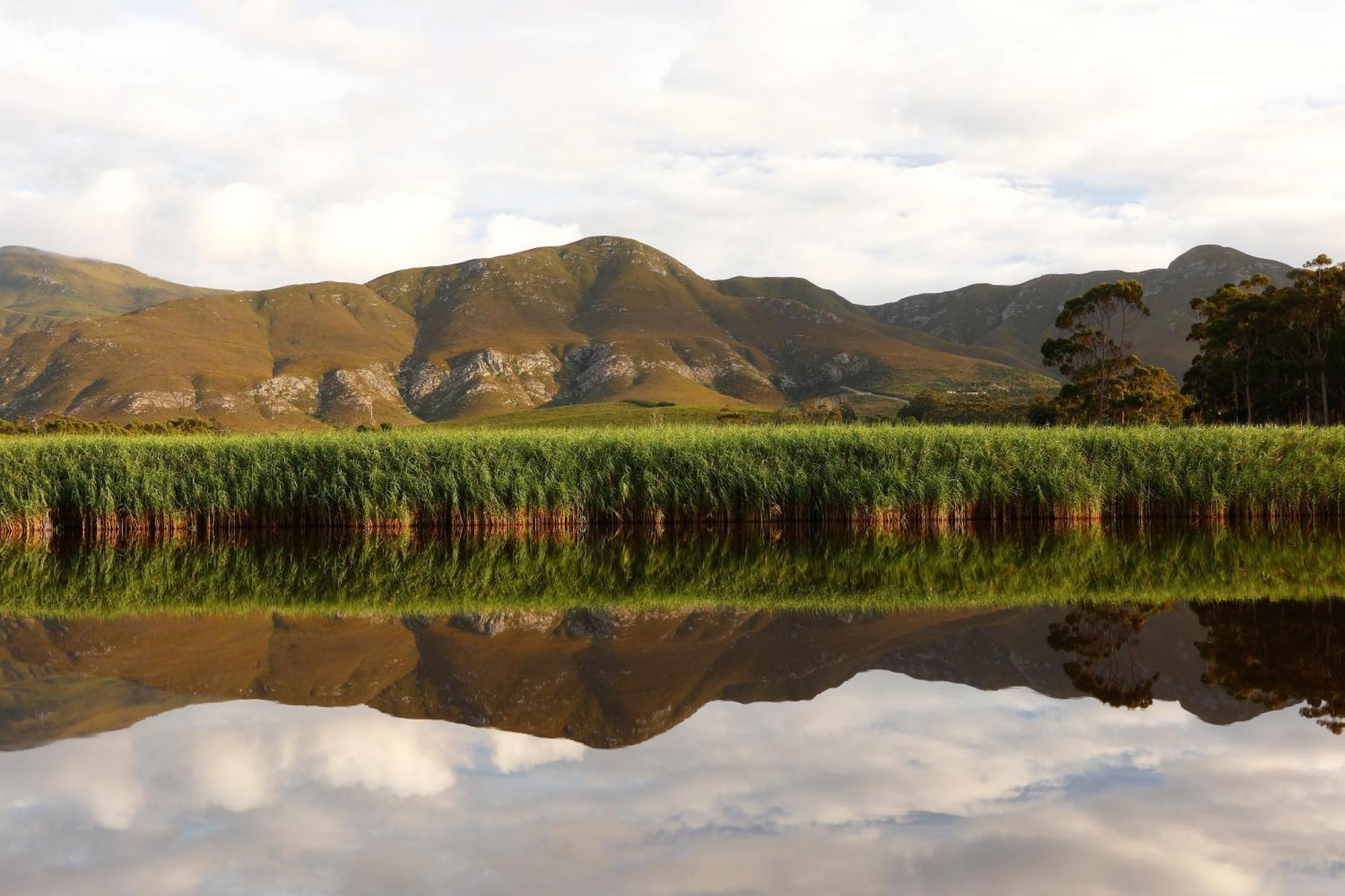Springfontein River Lodge Stanford Luaran gambar