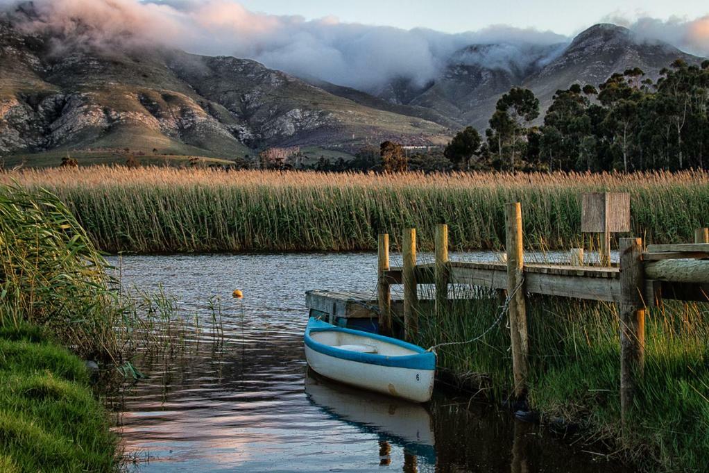 Springfontein River Lodge Stanford Bilik gambar